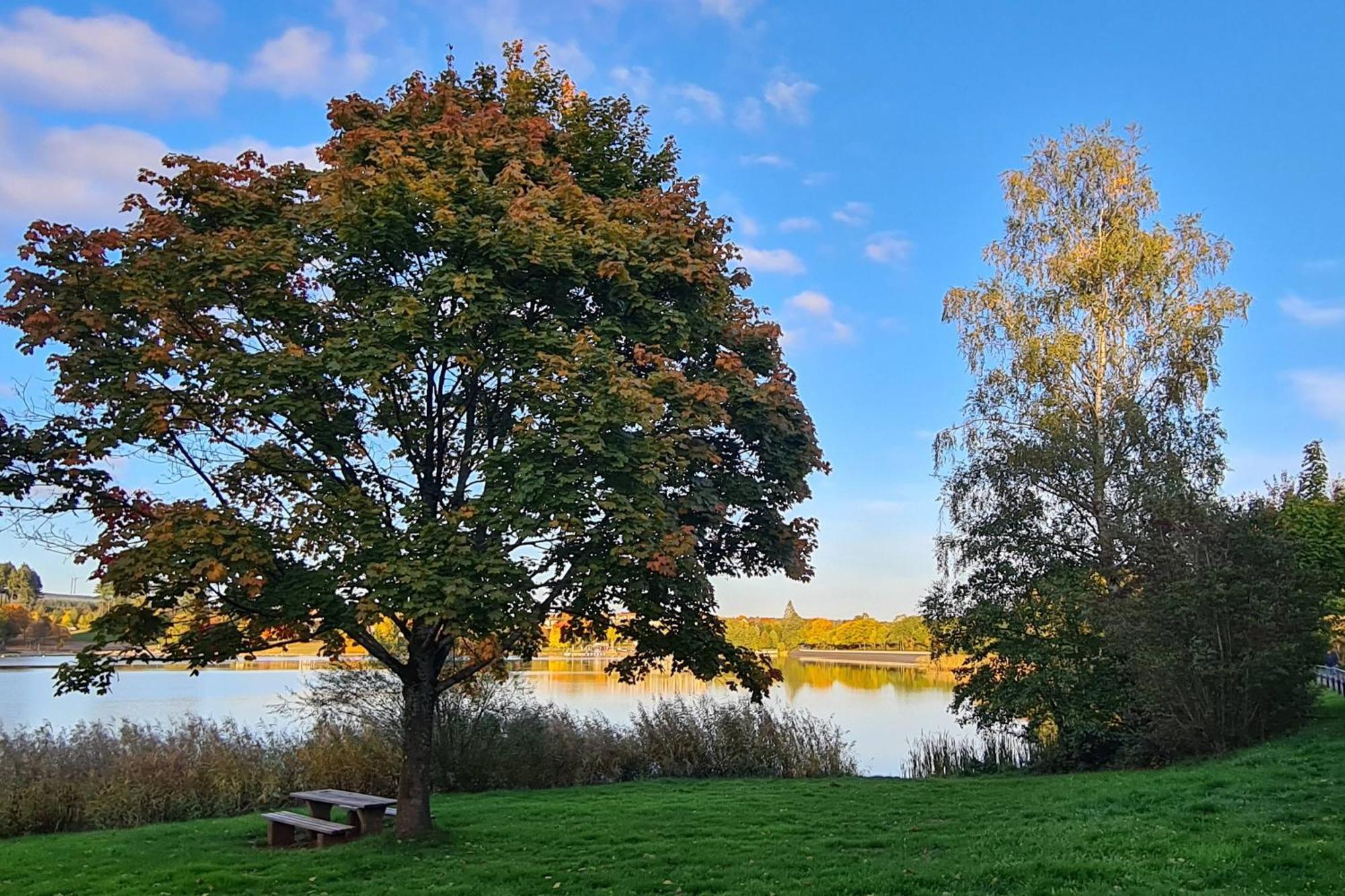 Draussen Am See 罗斯海姆 外观 照片